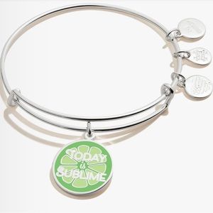 NWT - ALEX + ANI TODAY IS SUBLIME CHARM BRACELET